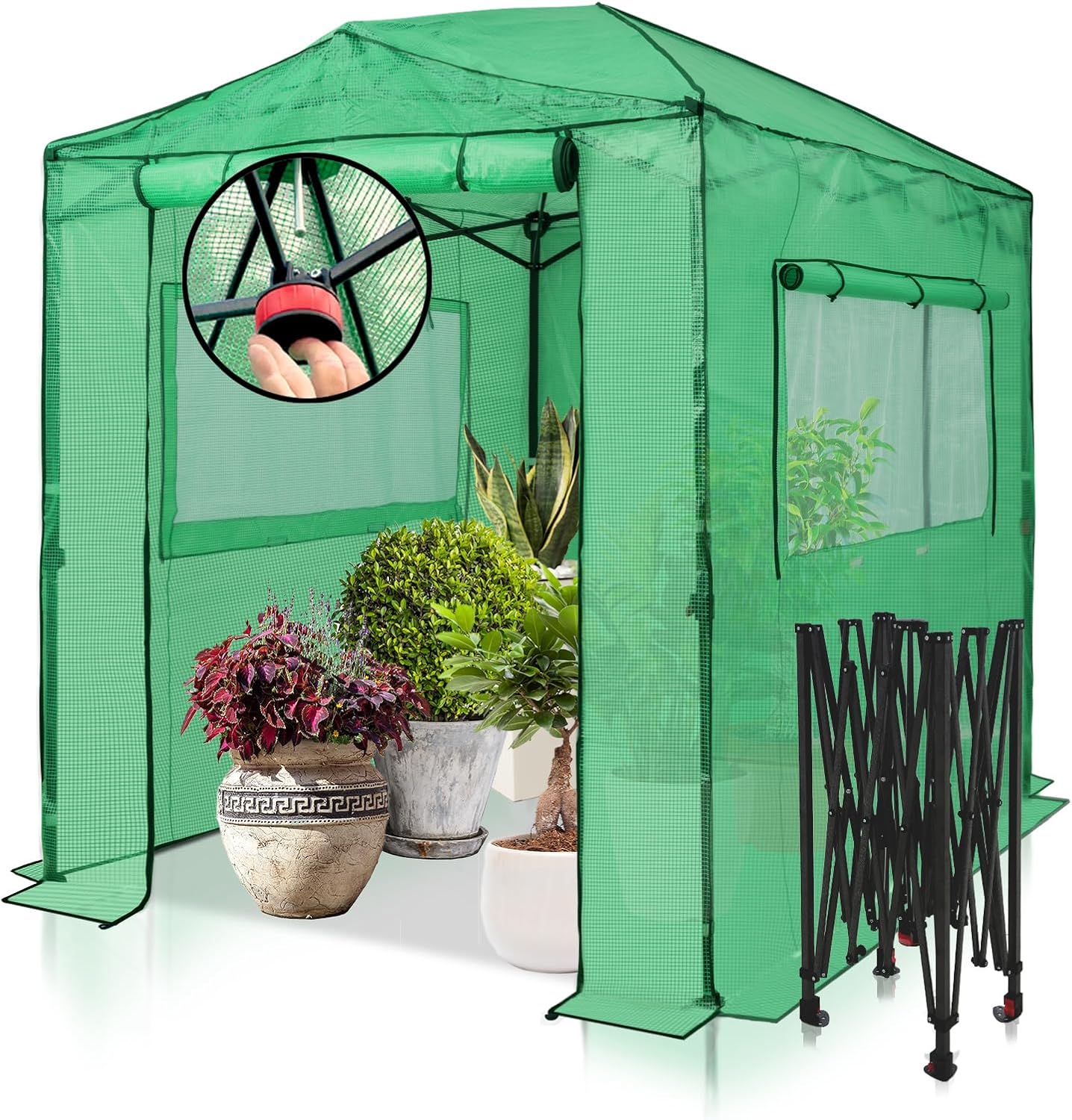 EAGLE PEAK Instant Pop-up Greenhouse  Indoor Outdoor Plant Gardening Green House  Roll-Up Zipper Doors and Side Windows  Walk in 8x6 ft  PE Cover  Green/Clear