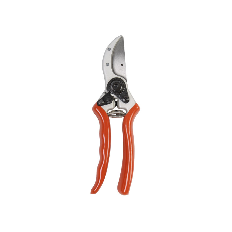Sécateur perroquet Hobby