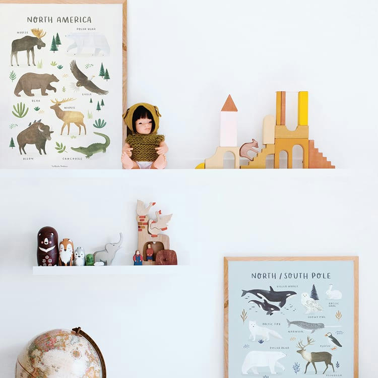 LIVING EARTH - Affiche Animaux des Pôles Nord et Sud (30 x 40 cm)
