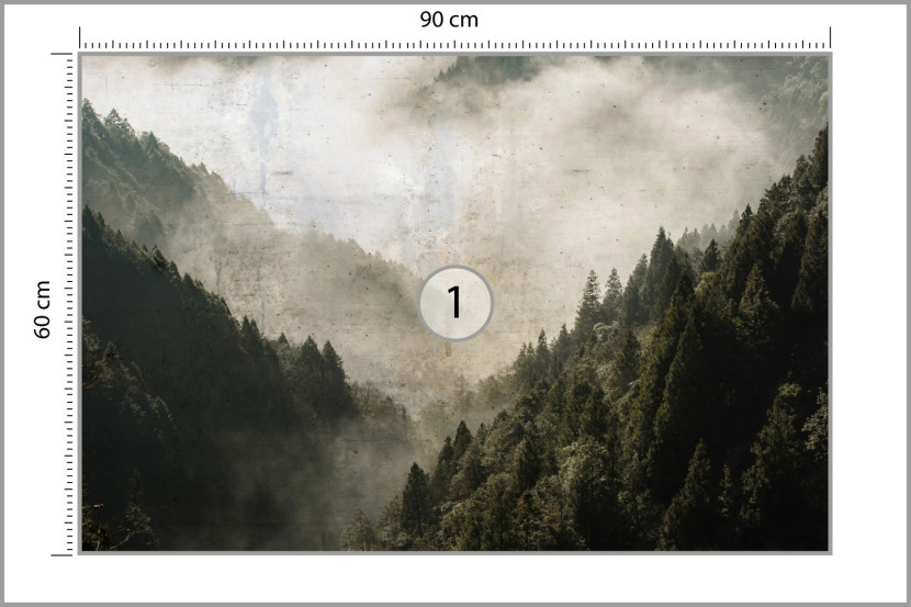 Fototapeta Las We Mgle W Stylu Vintage 90x60cm