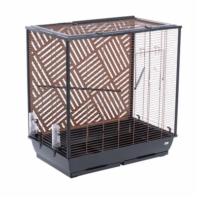 Modern Living Industrial Bird Cage