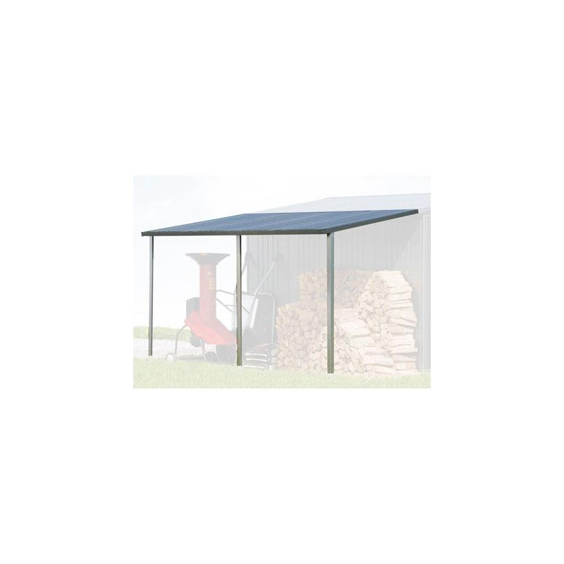 Auvent pour abri Europa argenté 1,5 x 3 x 1,7 m BIOHORT