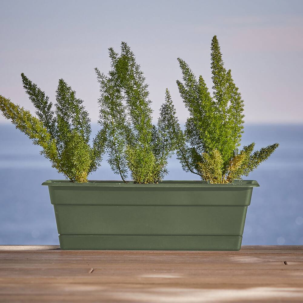 Bloem Dura Cotta Plastic Rectangular Window Box Planter with Saucer Tray, Living Green