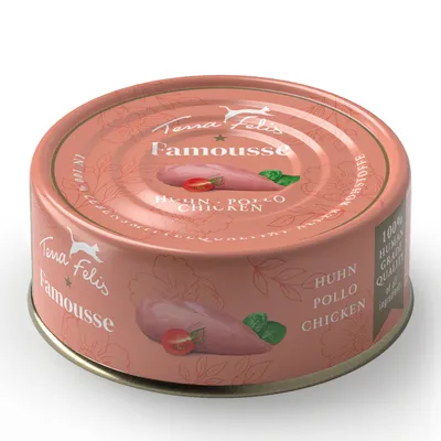 Saver Pack Terra Felis Famousse 24 x 80 g