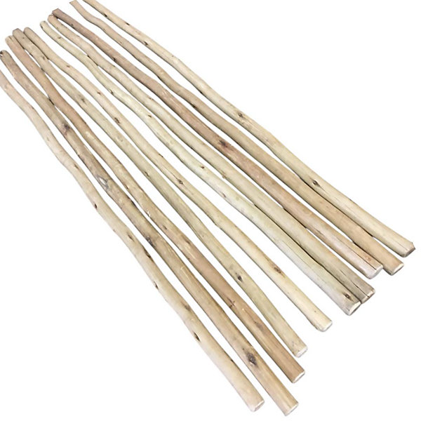 Paquet de 10 piquets d'eucalyptus traitésD 2-5 cm x 2,40 m