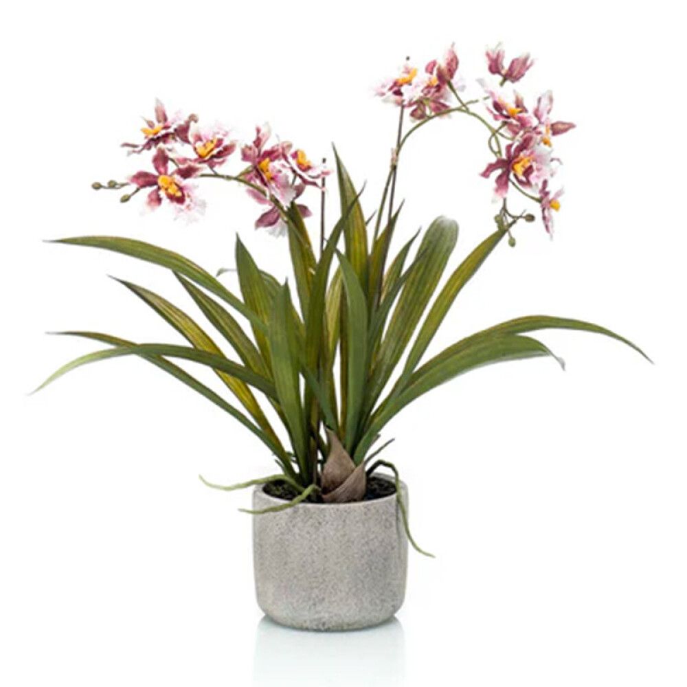 KUNSTPLANTE EMERALD ONCIDIUM BORDEUX 45CM