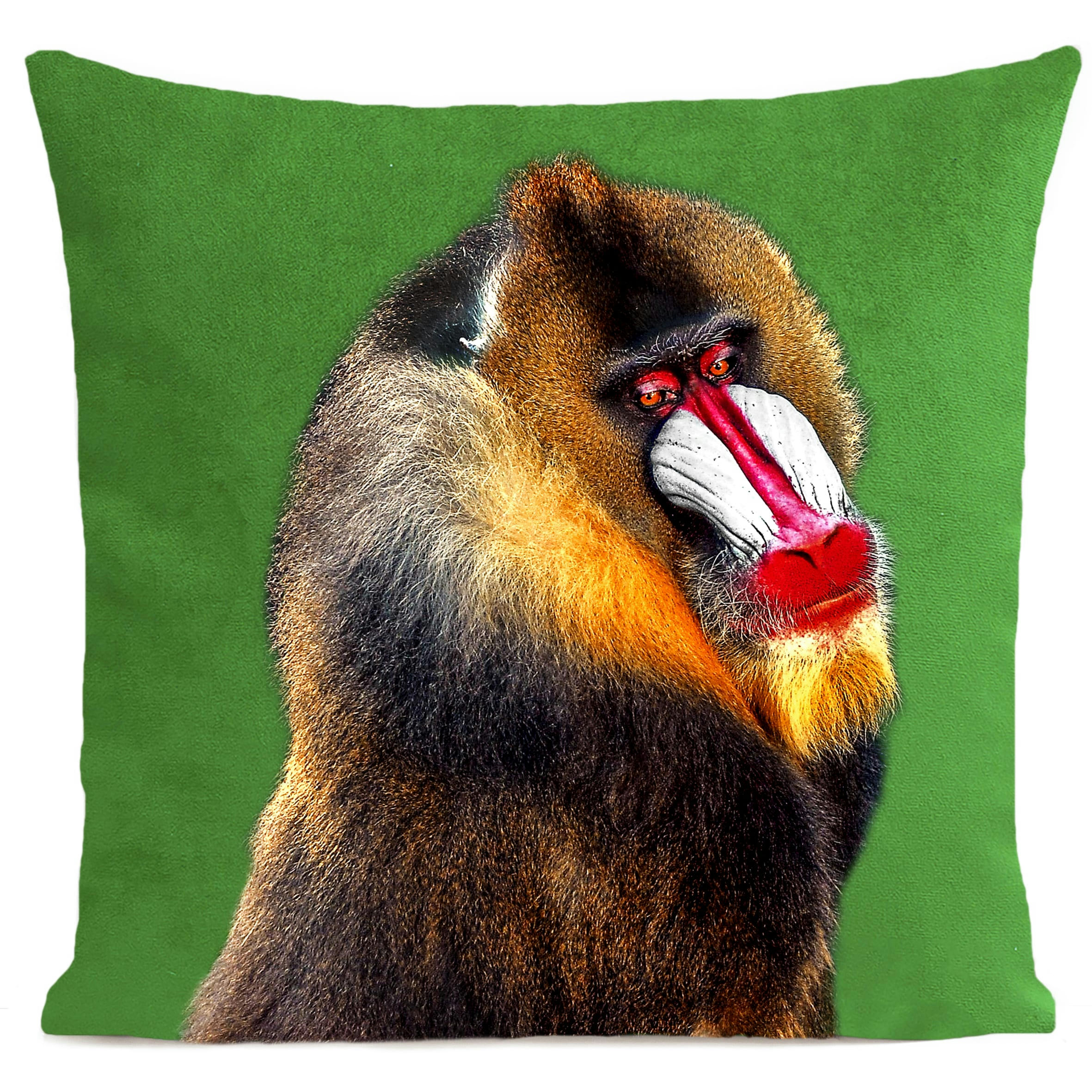 - Coussin tropical singe suédine vert 40x40cm