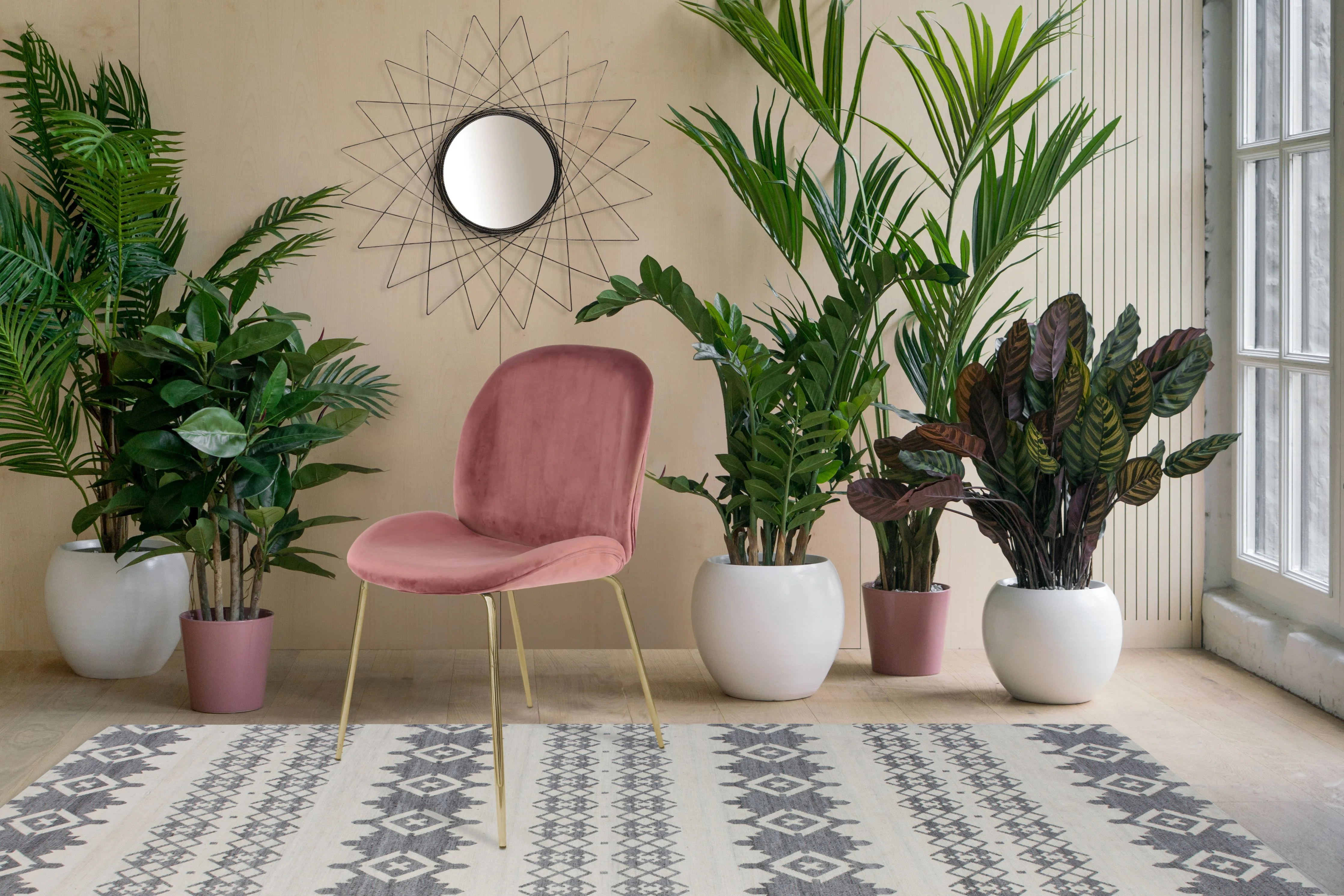 Set van 2 eetkamerstoelen Charlie velvet