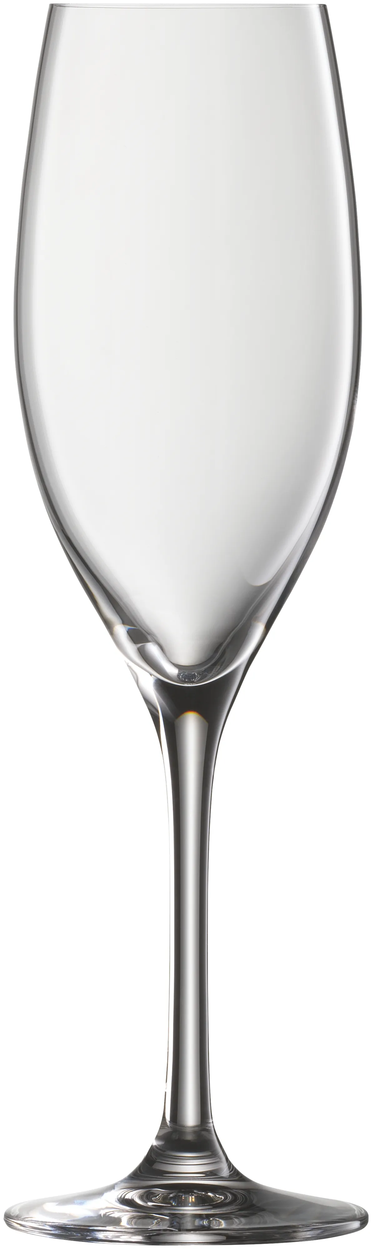 EasyPlus Champagne glasses 6pcs.