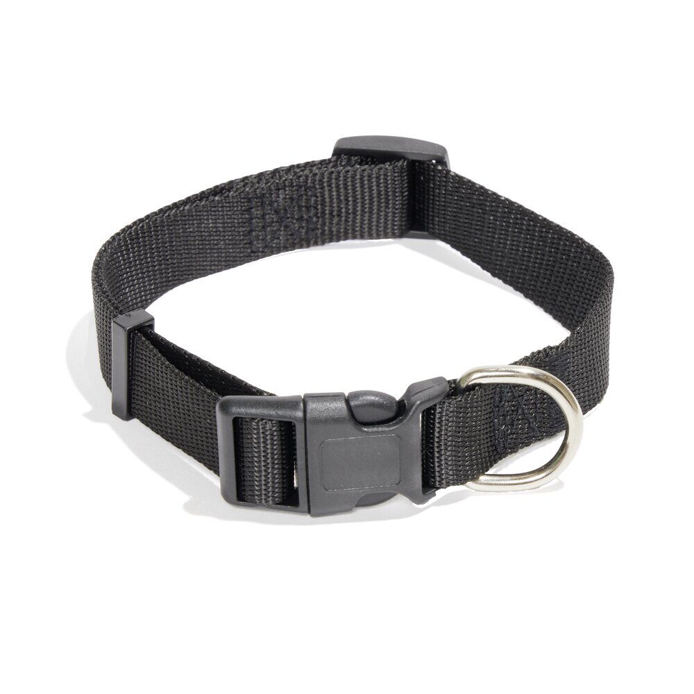 Collier pour chien - Taille M