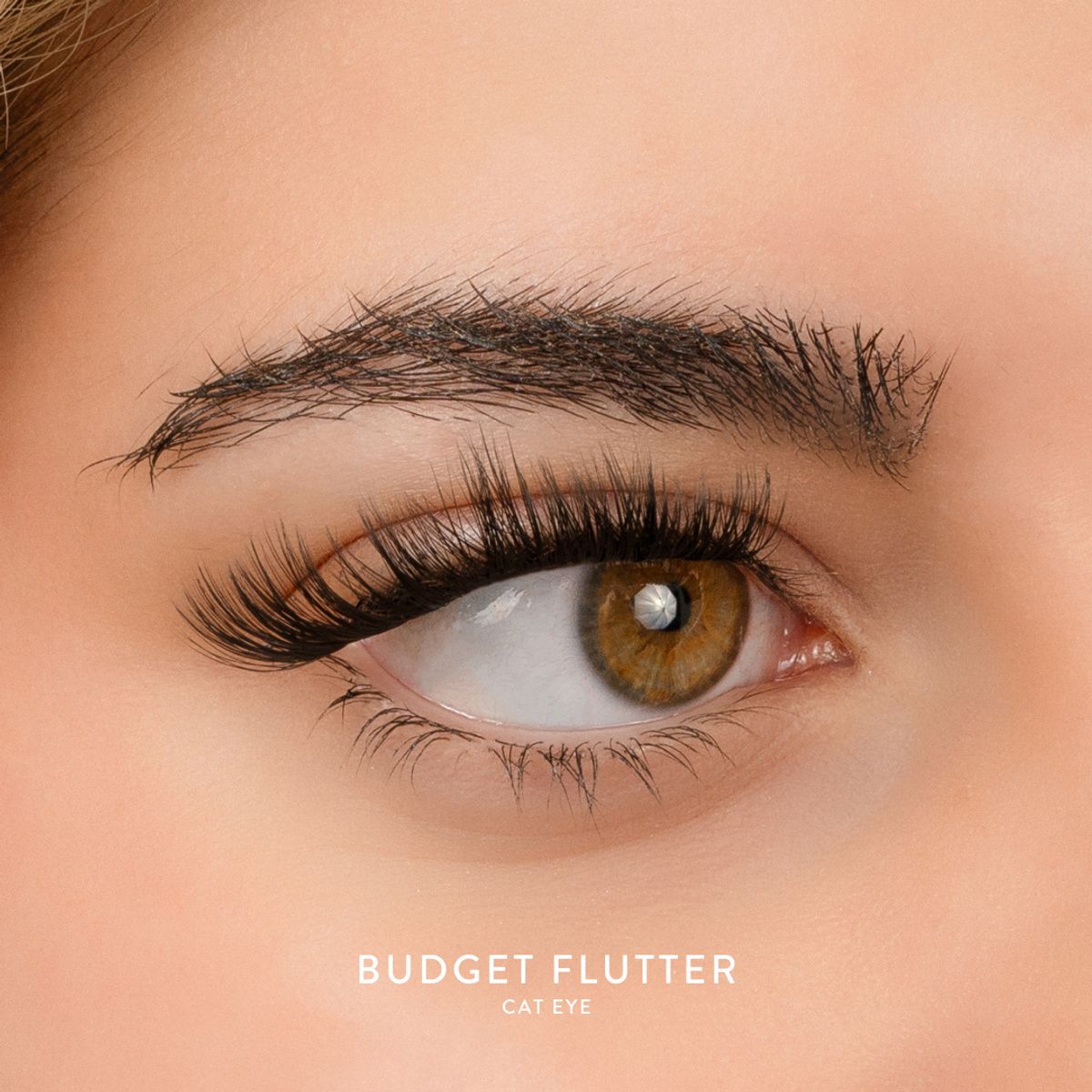 House of Amor Budget Box "FLUTTER" with Mini Bond