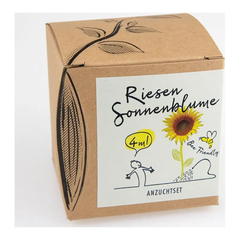Blumentopf 4-teilig Riesensonnenblume