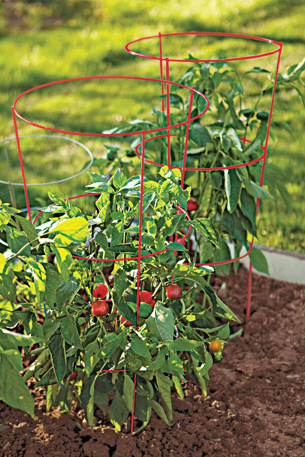 Panacea Heavy-Duty Tomato Plant Support Cage, 42-in, Red