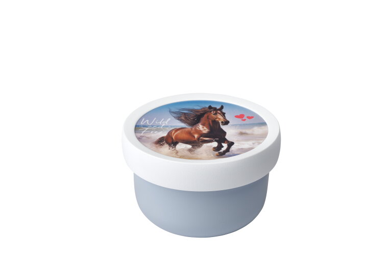 Fruitbox Campus 300 ml - Wild Horse