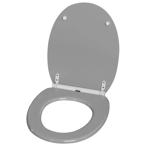 WC-Sitz, mit Absenkautomatik und Schnellverschluss, Holz
