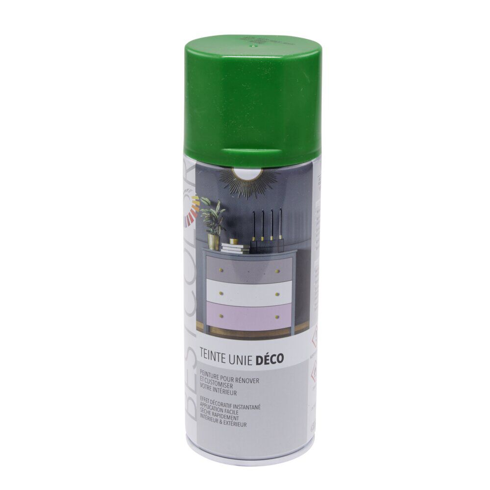 Peinture intérieur extérieur vert menthe 400ml