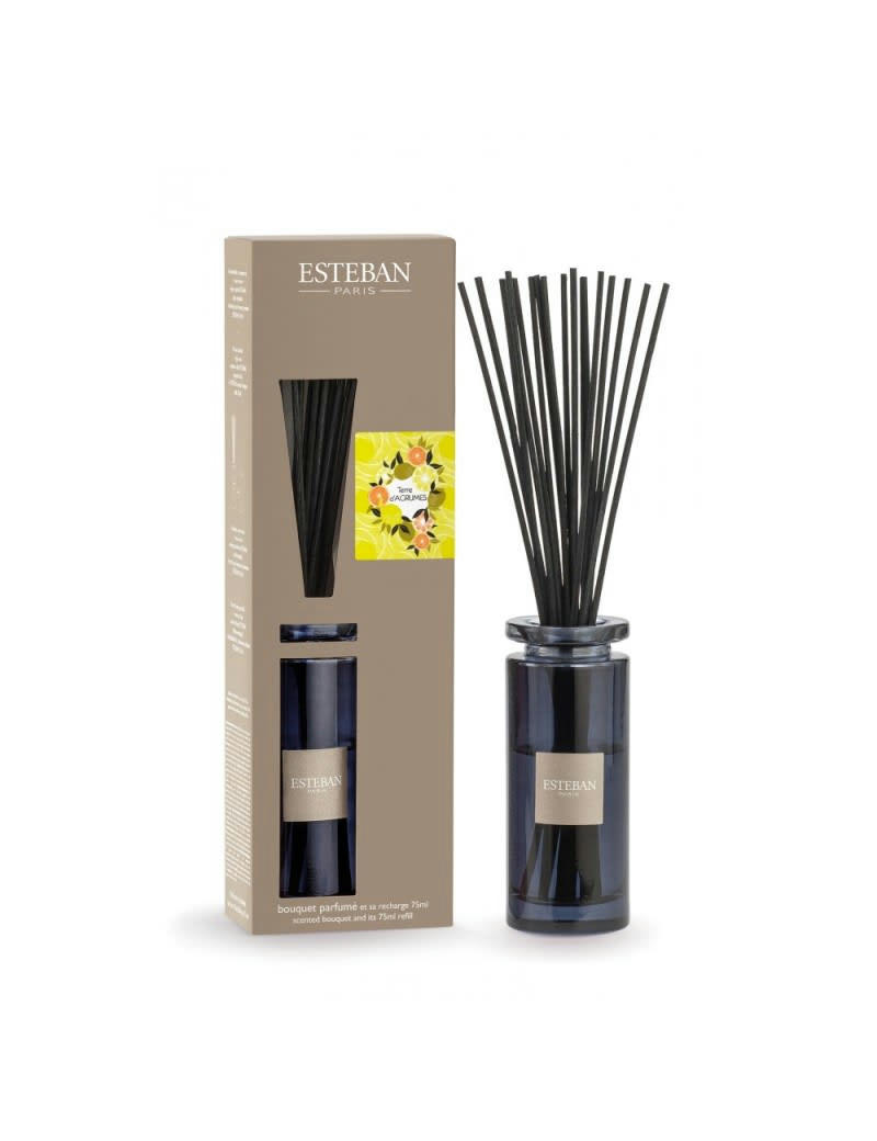 TERRE D'AGRUMES - Bouquet parfumé initial terre d'agrumes