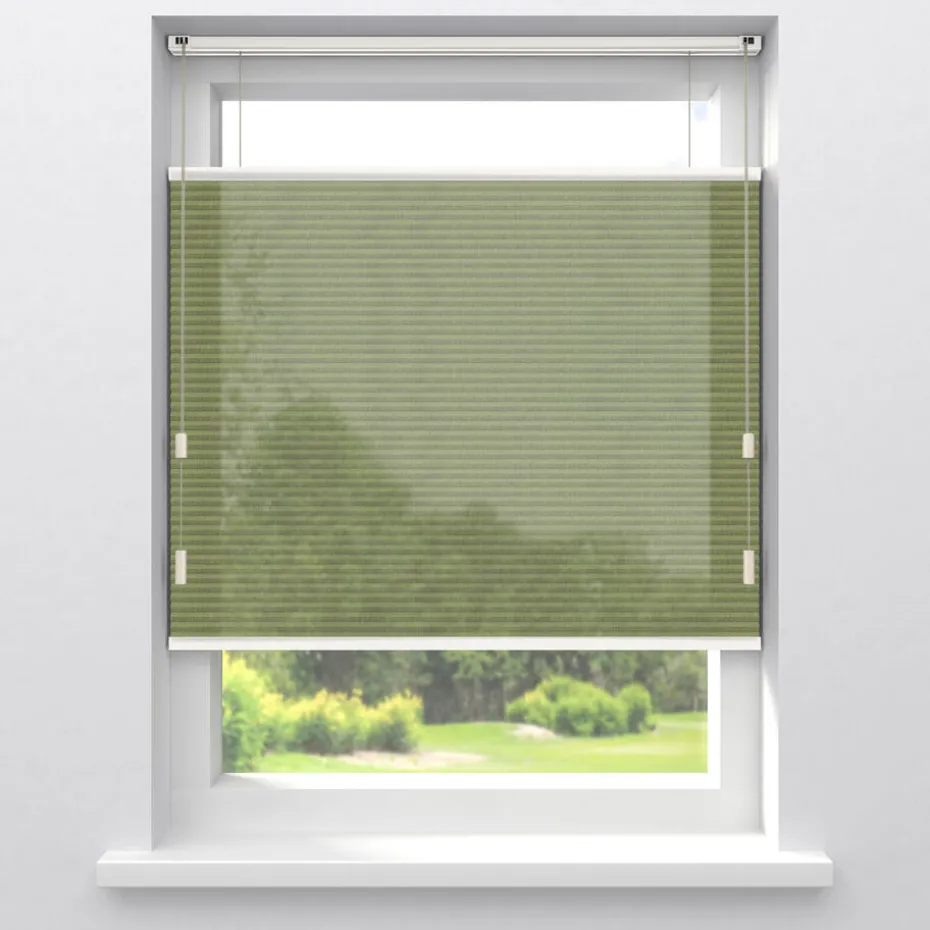 Kwantum Plisségordijnen | Fenstr Dubbel Plisségordijn Maud  Transparant Groen