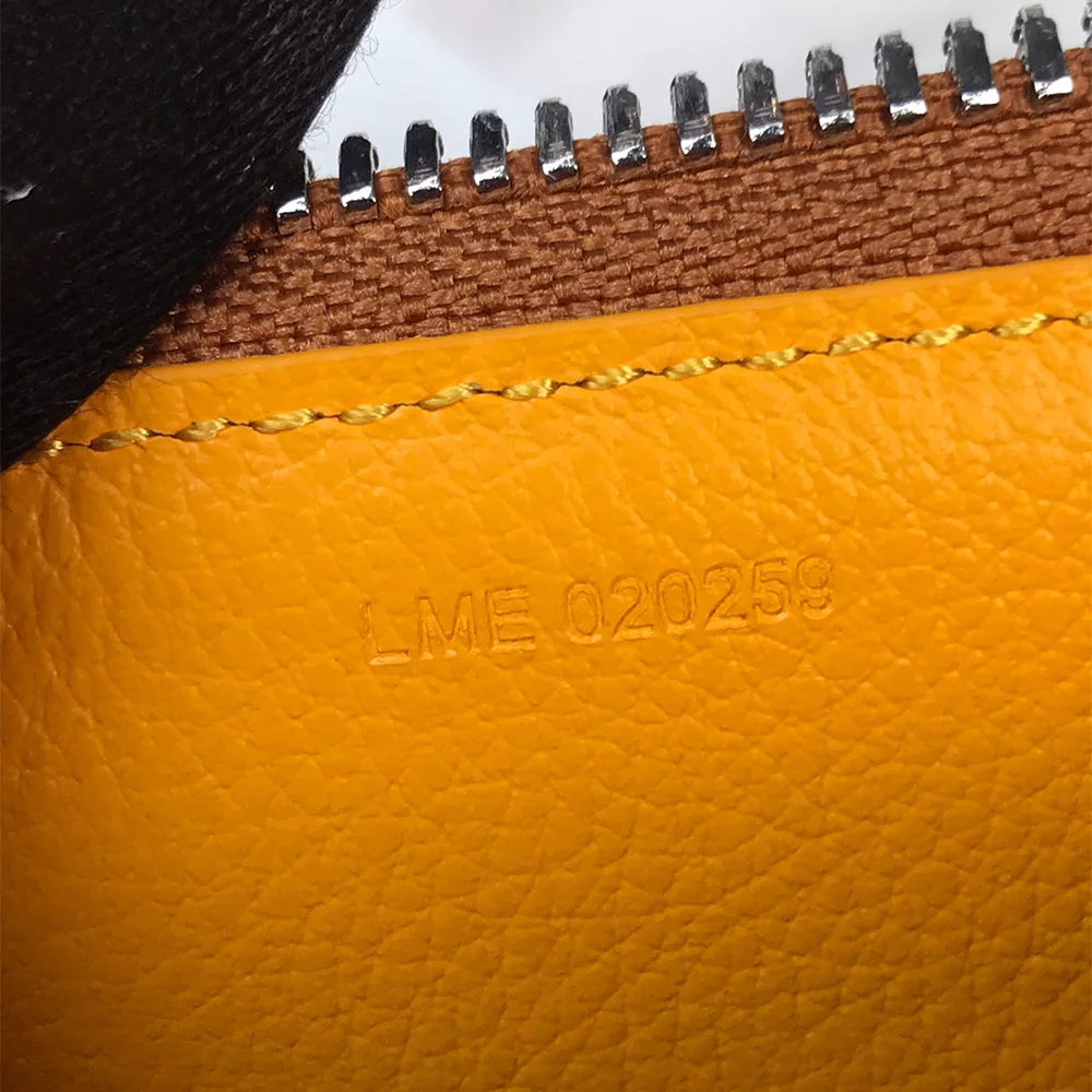 Goyard Candy box bag