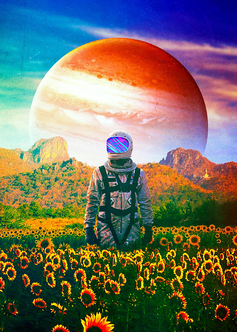 - Tableau sur toile seamless tournesol 50x70