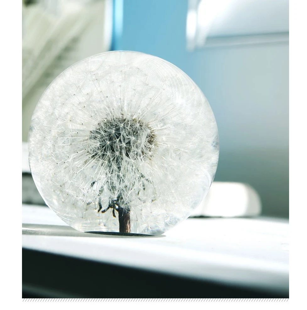 Real Dandelion Seed Paperweight | Resin Office Decor (2.75