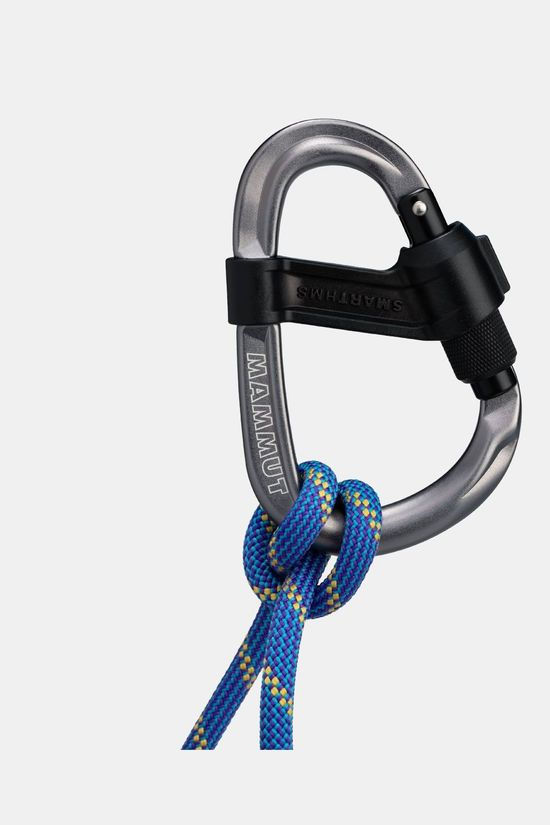 Mammut Smart HMS 2.0 Screwgate Carabiner