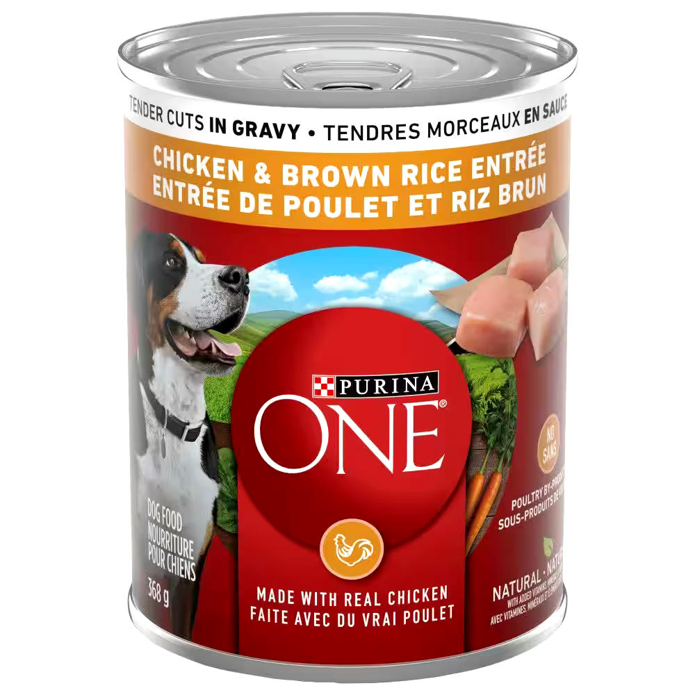 Purina ONE SmartBlend Chicken & Rice in Gravy Wet Dog Food, 368-g