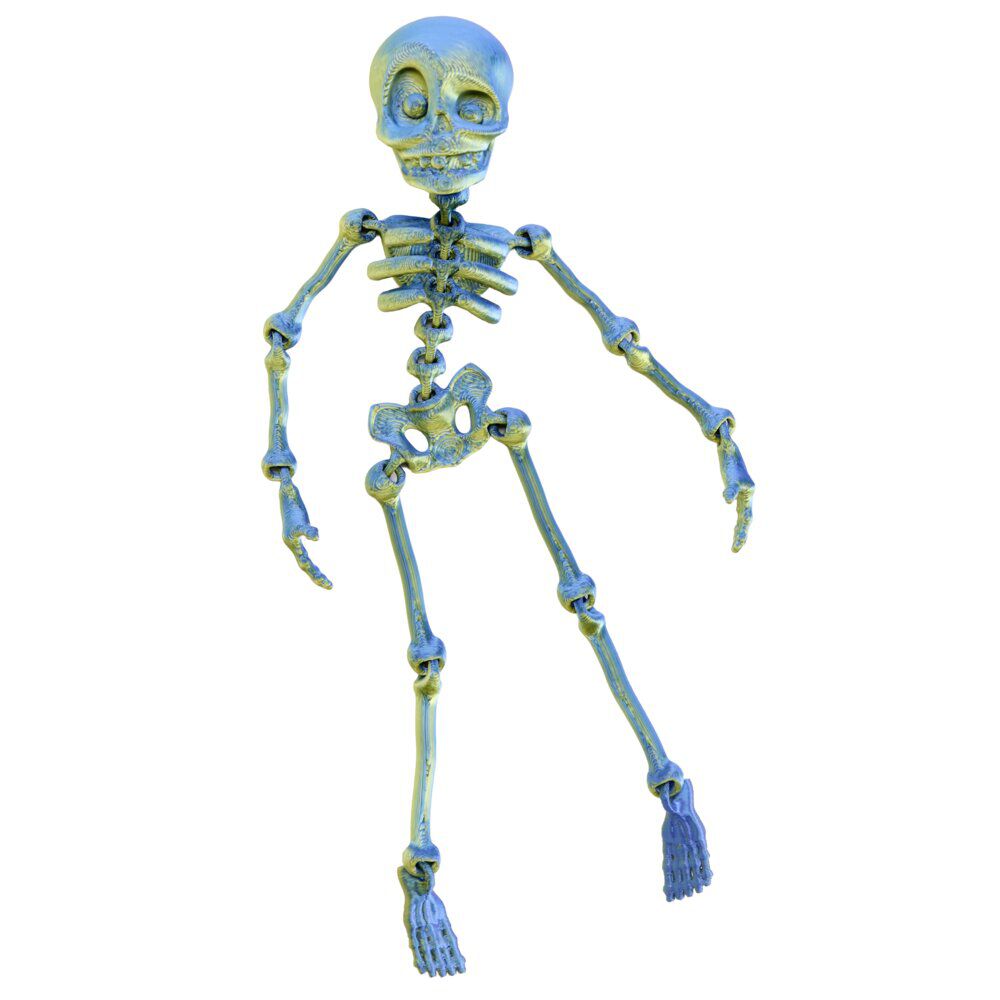 Squelette articulé avec ventouse plastique L17cm (2 modèles)