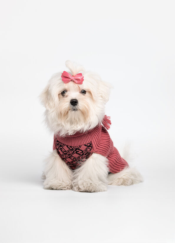 Dolcevita in lana e cashmere Liu Jo Pets