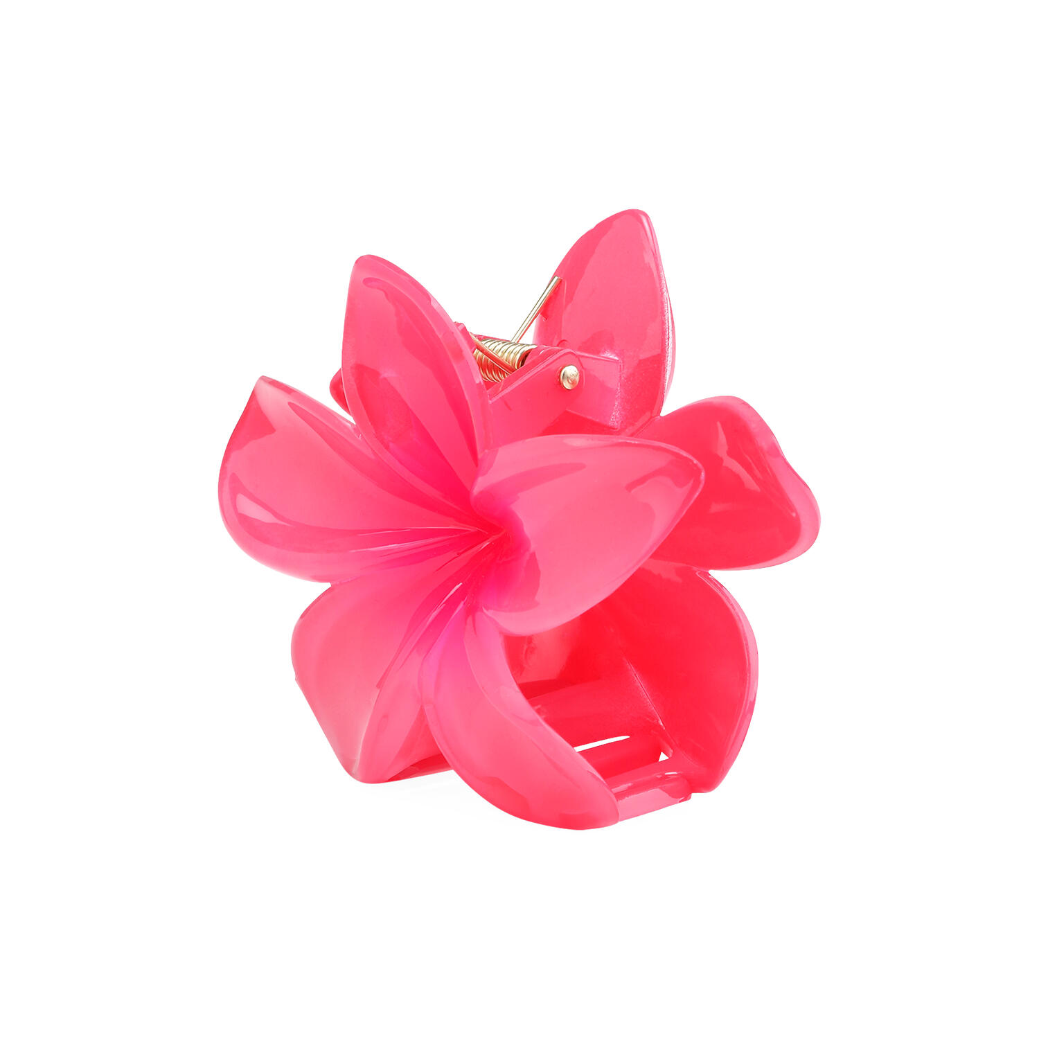 Plumeria Bella Big, pink