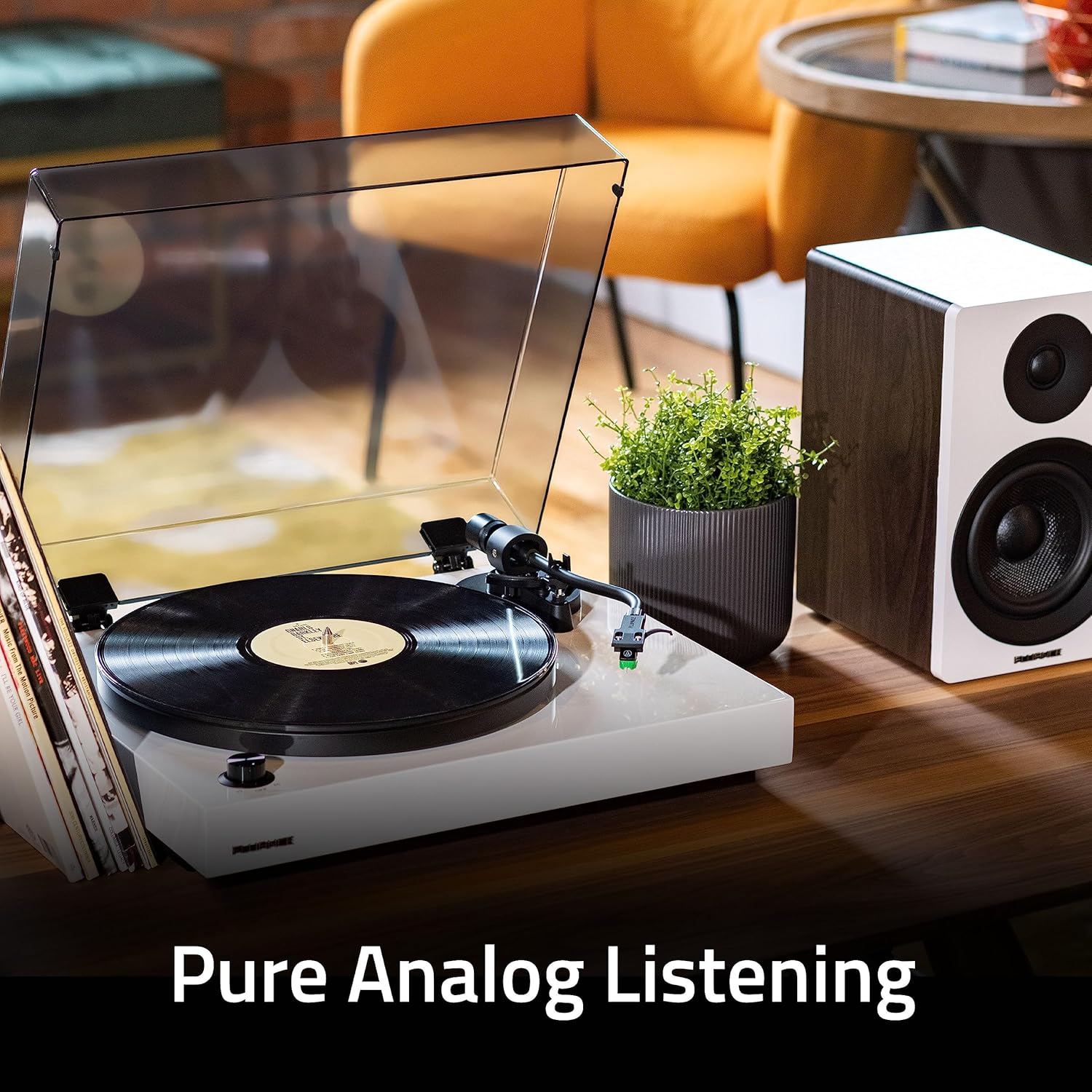 Fluance RT81+ Elite High Fidelity Vinyl Turntable Record Player  Audio Technica VM95E Cartridge  Anti-Resonant Platter  Acrylic Mat  Phono Preamp Wood Plinth Adjustable Isolation Feet - Natural Walnut