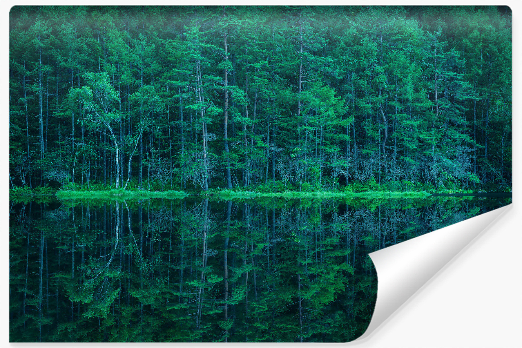 Fototapeta LAS W Odbiciu Jeziora Drzewa 3D 90x60cm