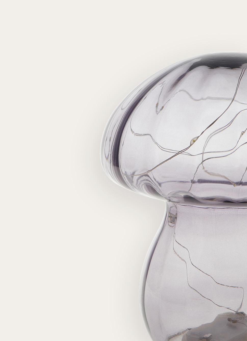 CHAMPIGNON LUMINEUXGRIS