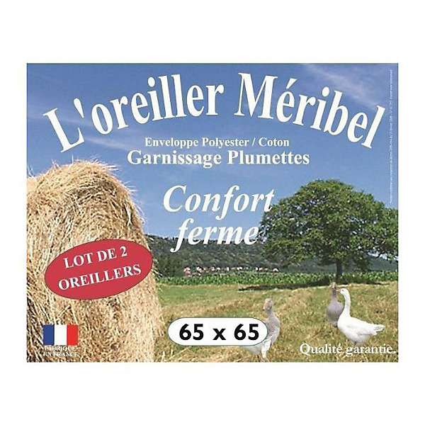 Oreillers Dodo 65x65 cm lot de 2 blanc coton plumettes