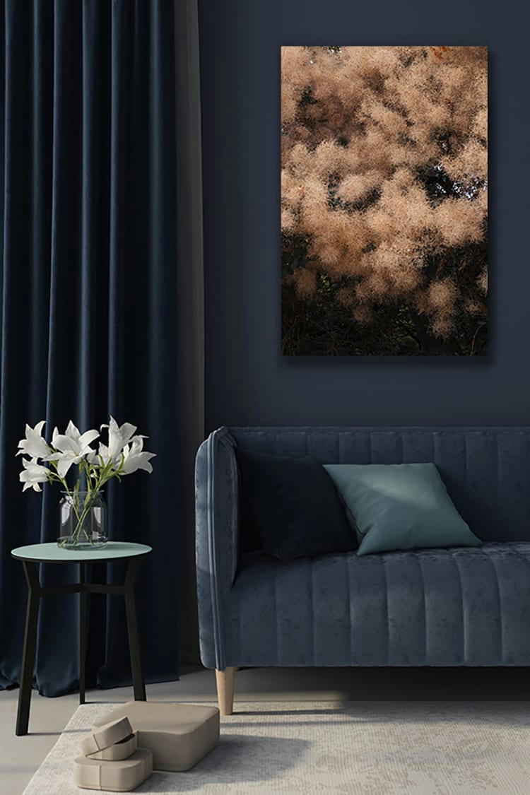 FLORESCENCE - Photographie d'art de Zoé Pignolet 40x60 cm sur plexi