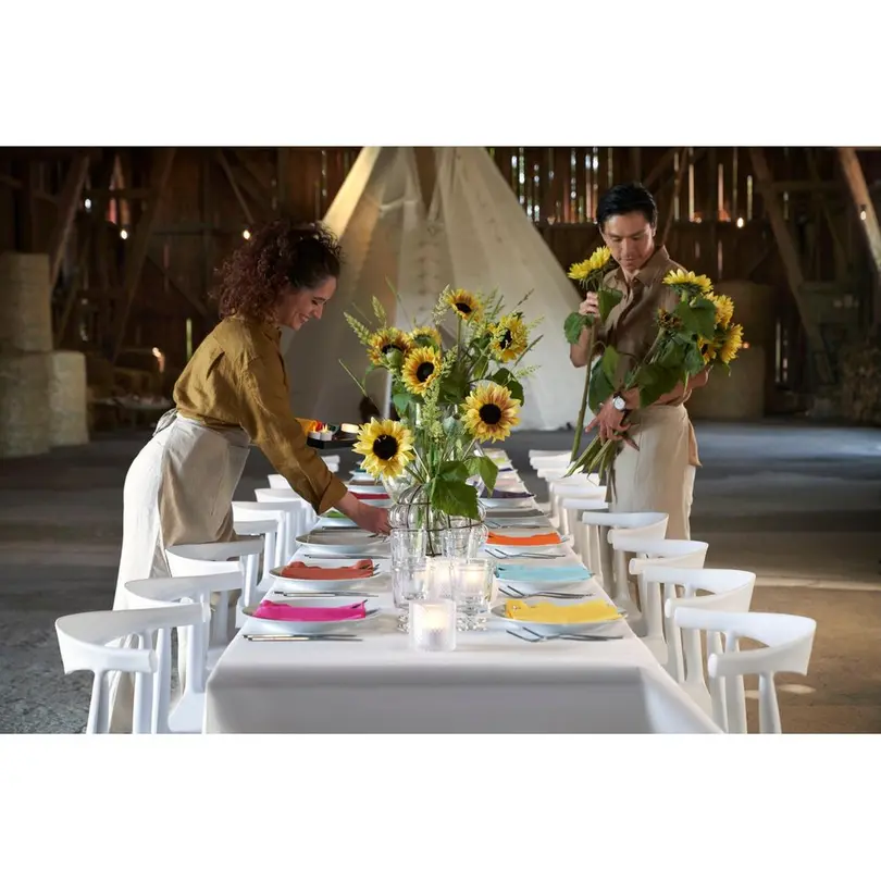 Serviette Duni
