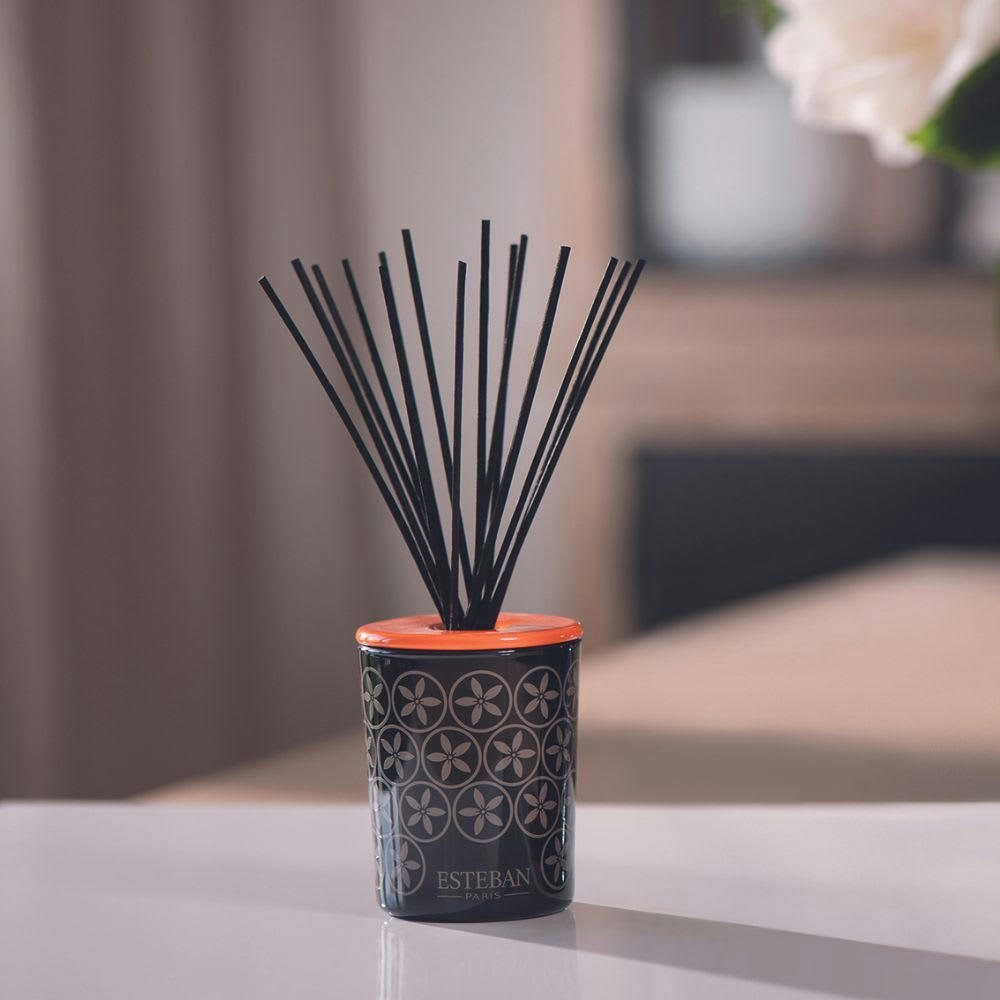 NÉROLI - Bouquet parfumé déco 100ml