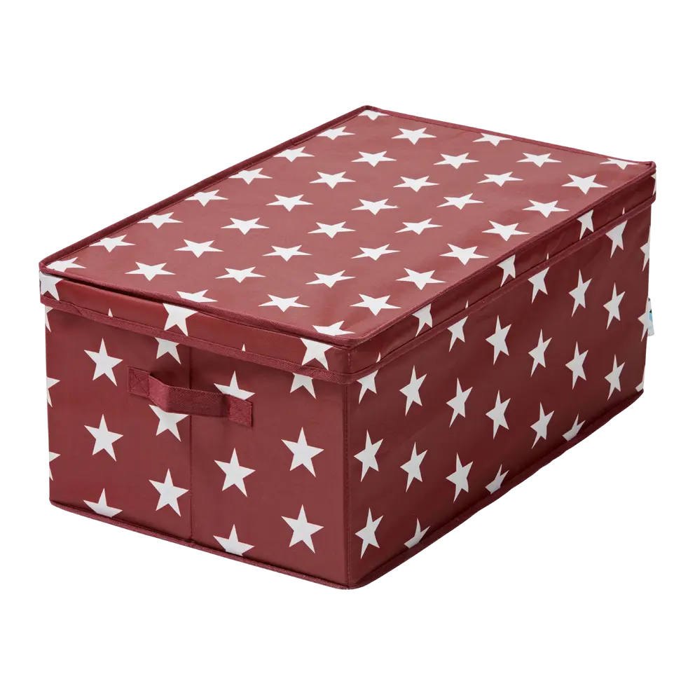 Aufbewahrungsbox Store