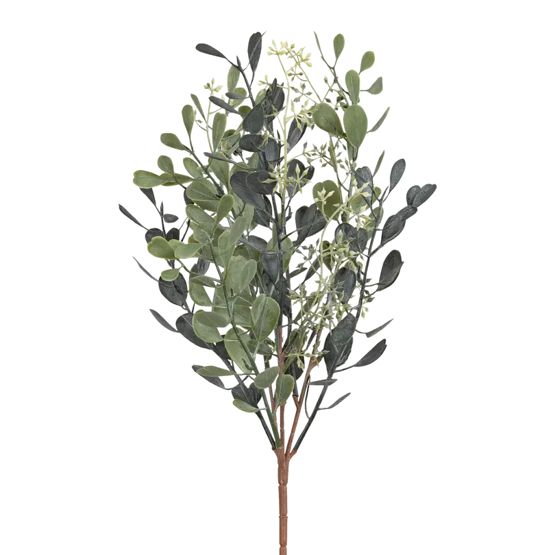 Dekozweig Sedum