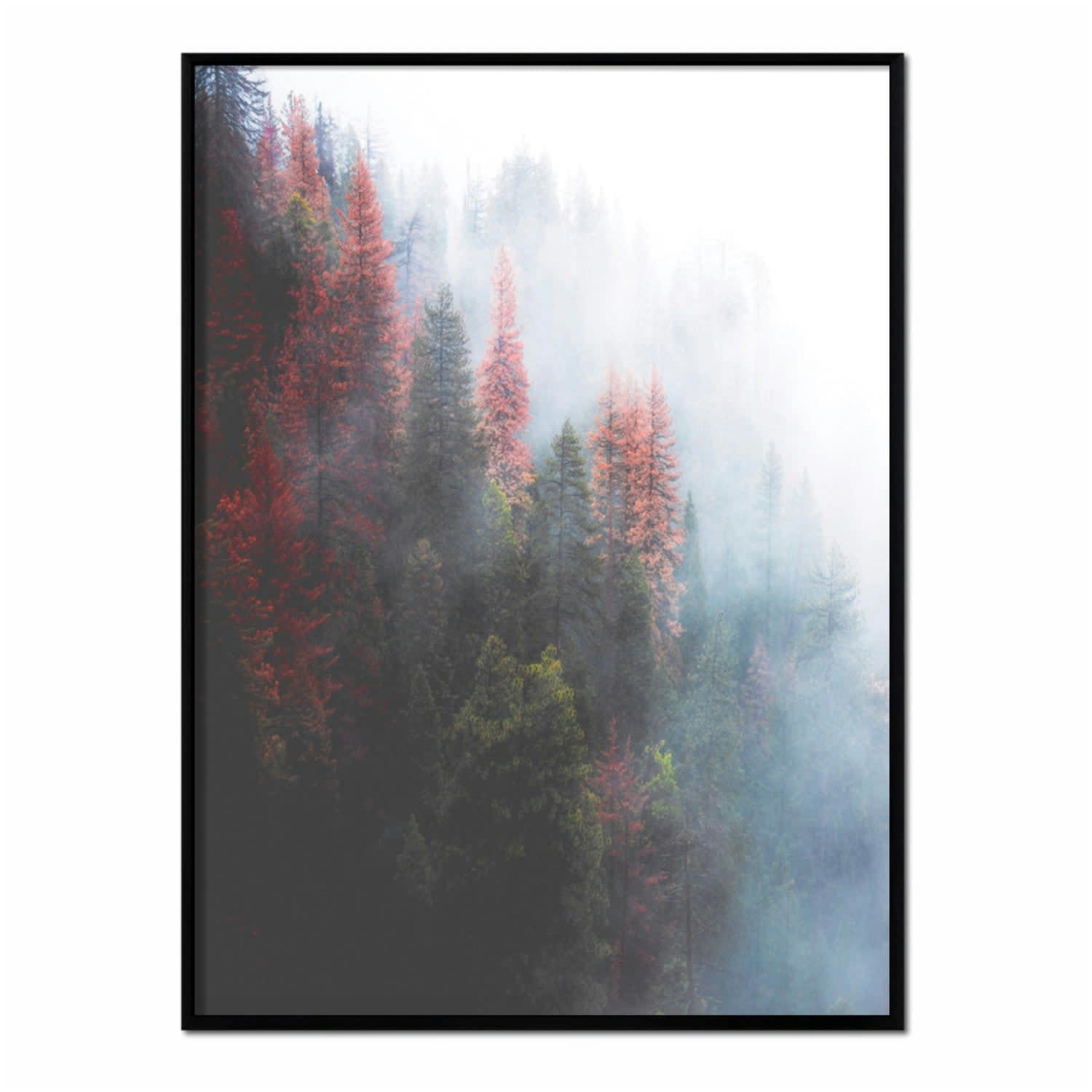 BOSQUE - Affiche avec cadre noir - Forêt brumeuse - 50x70