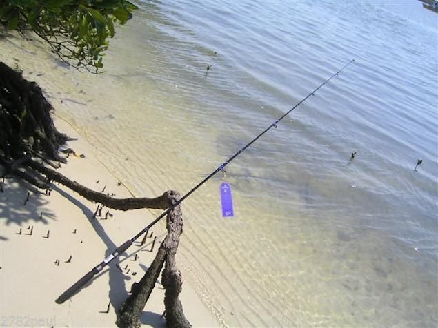 Surecatch Bigfield - 6'6 2 Pc Spin Fishing Rod 3-6kg River - Estuary - Plastics