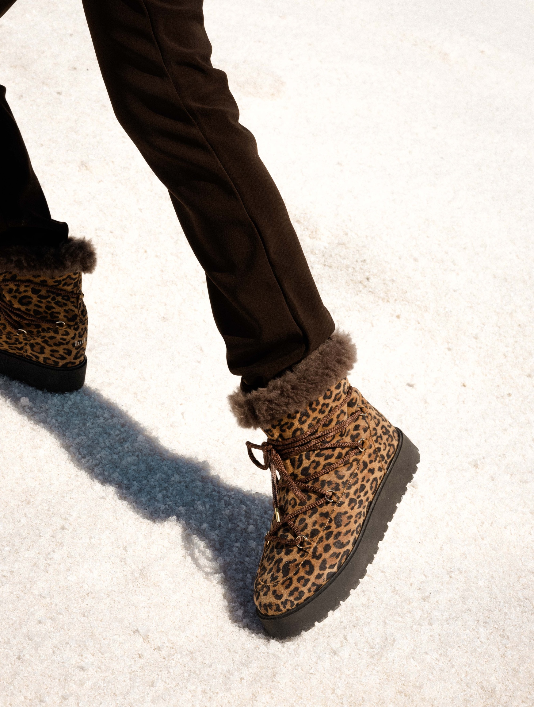 Kiruna Wild Leo