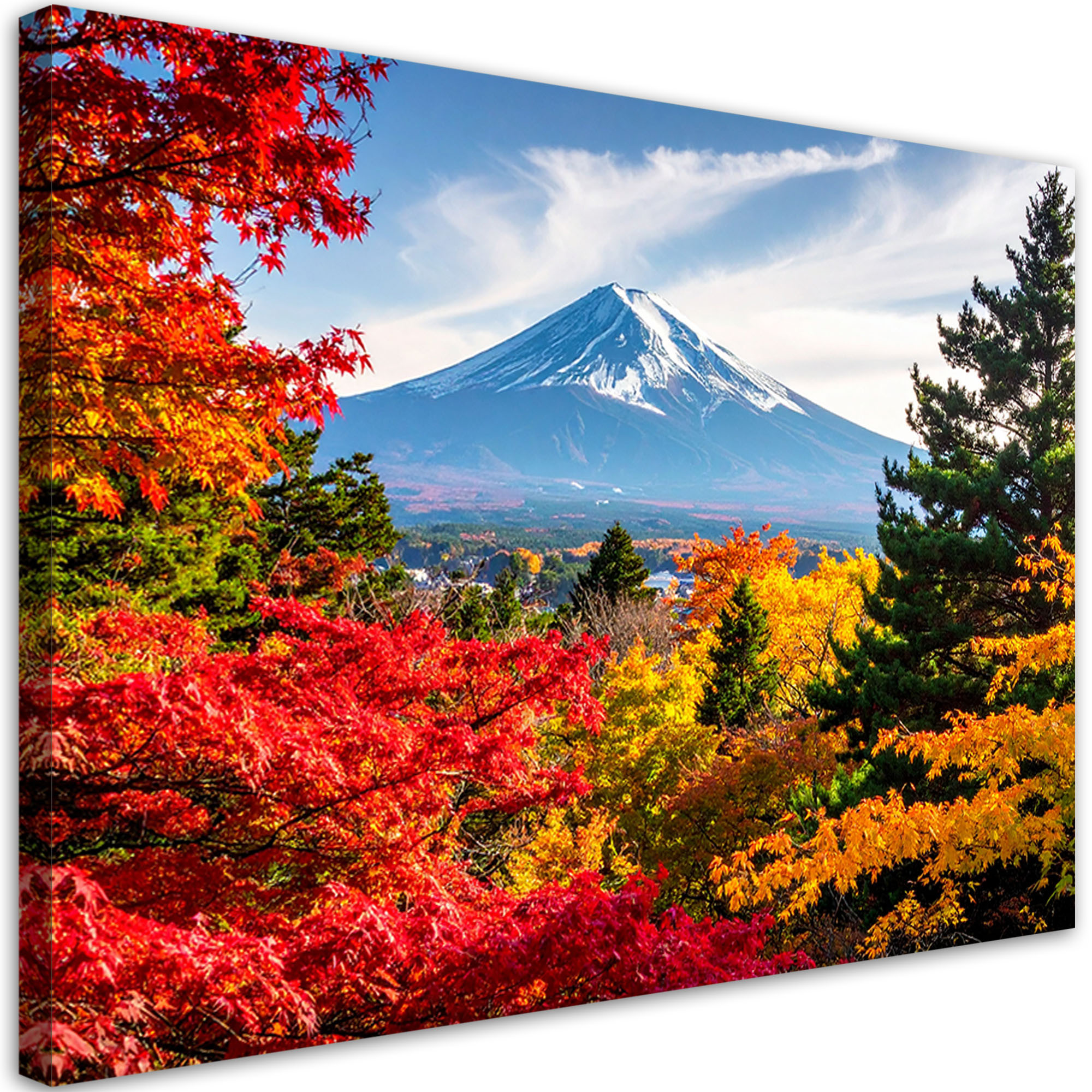 Obraz do salonu sypialni biura, Japońska góra Fuji liście pejzaż 30x20