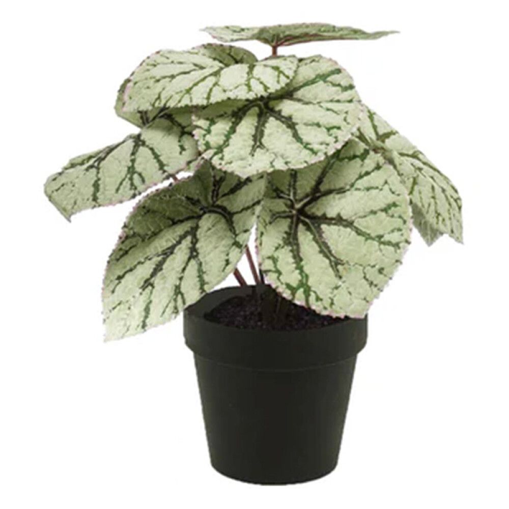KUNSTPLANTE EMERALD BEGONIA I POTTE 25CM