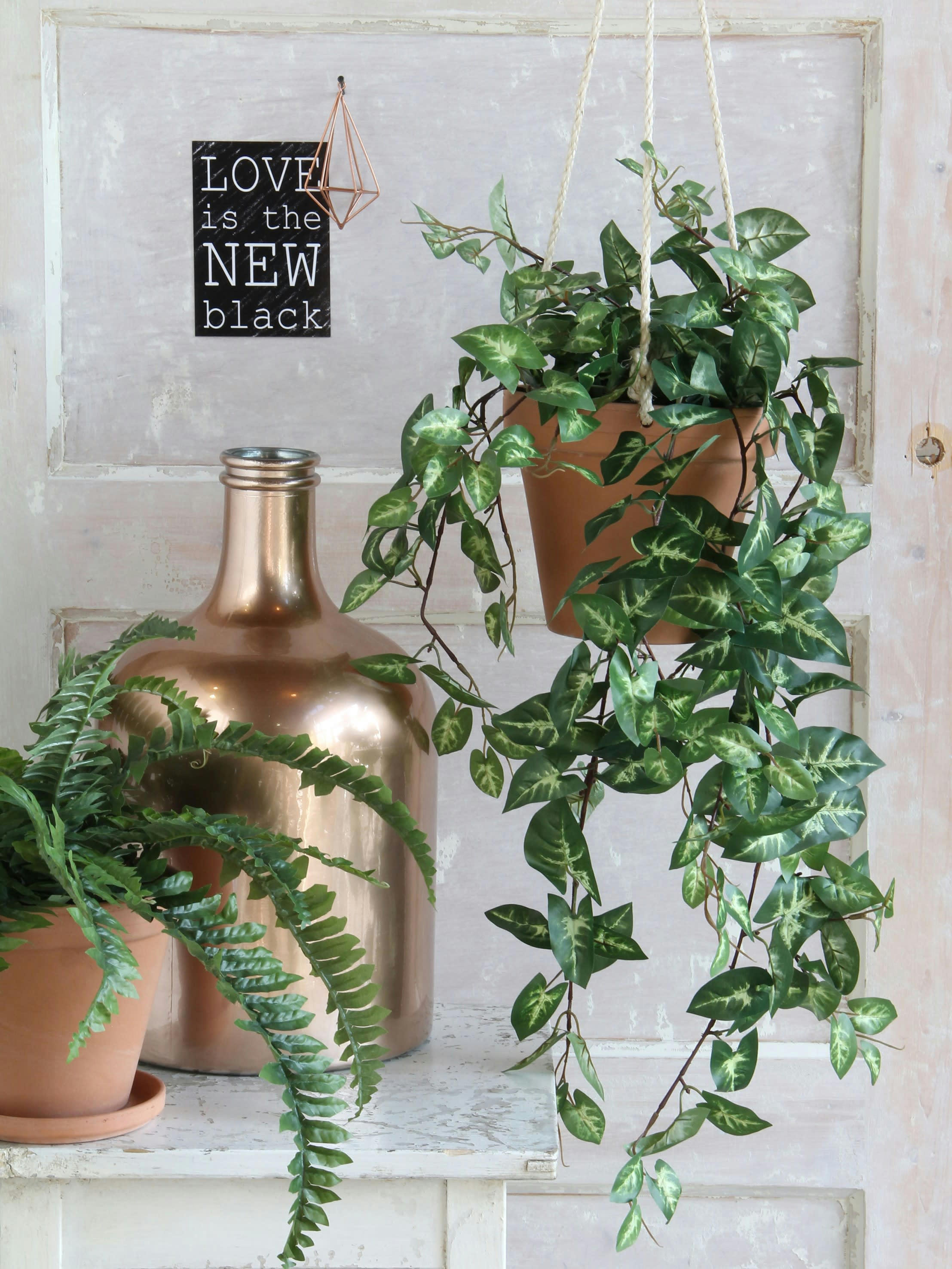 - Fittonia suspendue artificielle H80