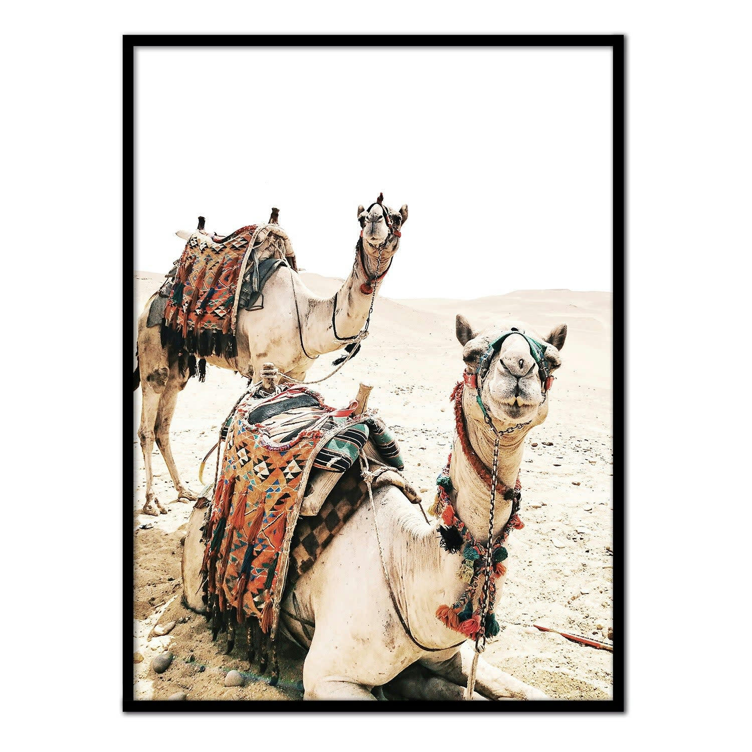 DESIERTO - Affiche avec cadre noir - Dromadaires - 50x70