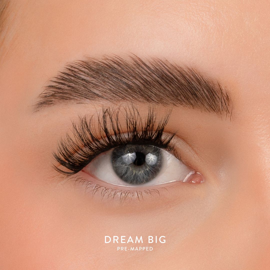 House of Amor Dream Big Pre Mapped QuickLashes