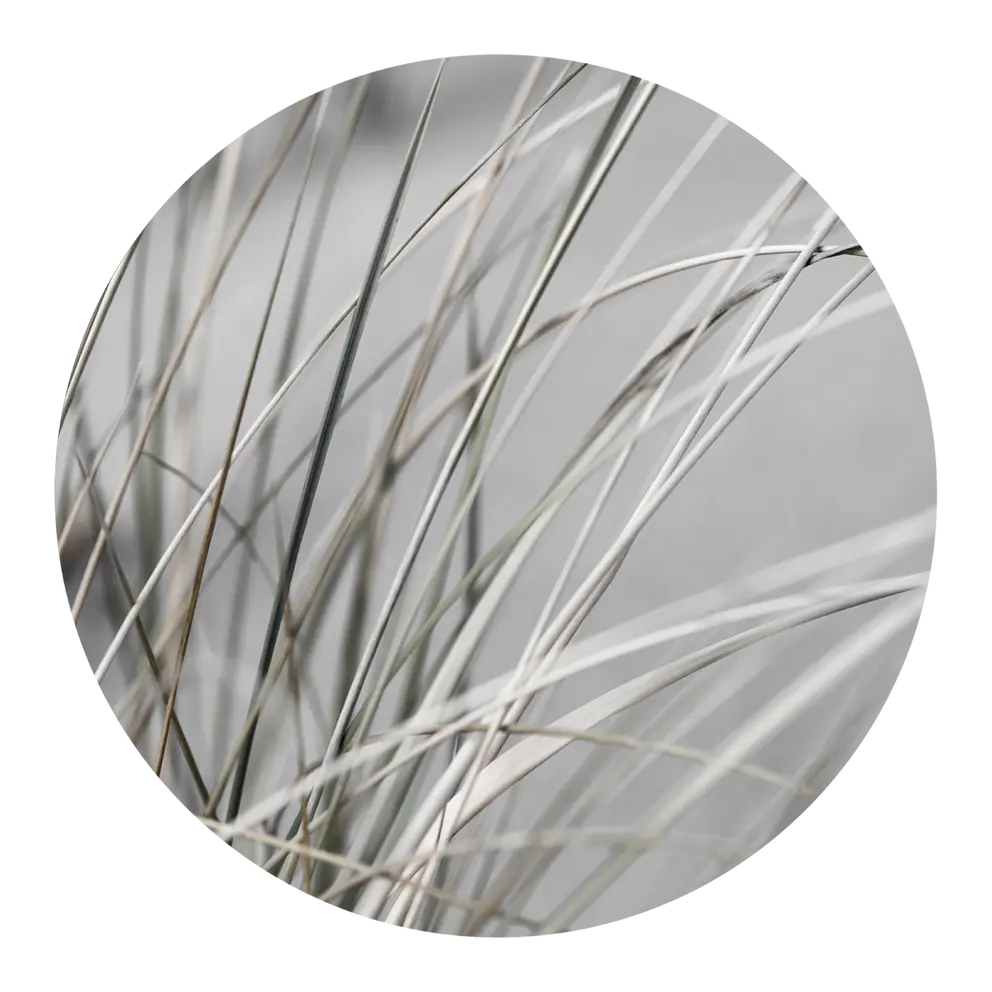 Kunstdruck Circle