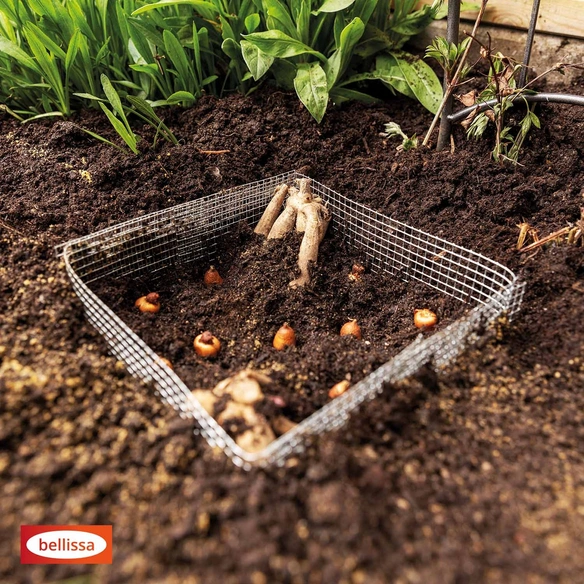 Blumenzwiebel »Gamaschen«, LxH: 20 x 15 cm, silber
