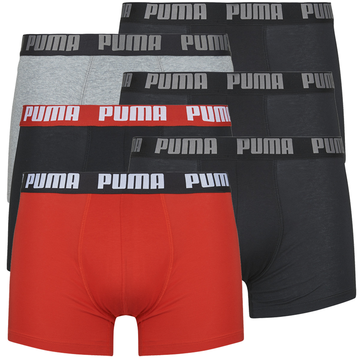 Puma - PUMA BASIC X6 - Black / Red / Grey